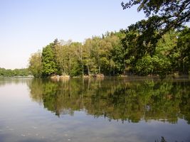 Botič 2-ú.n.Hostivař-pohled od Petrovic-léto (2).jpg